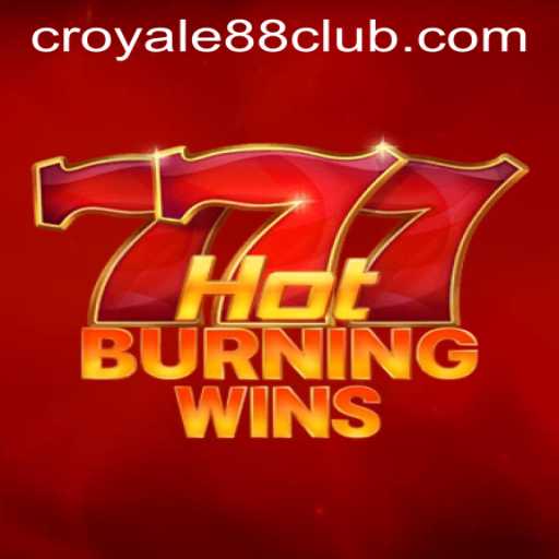 HotBurningWins: The Game Revolutionizing the Casino Experience